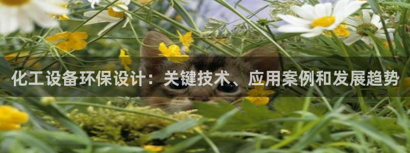 美狮官版2023最新版本下载