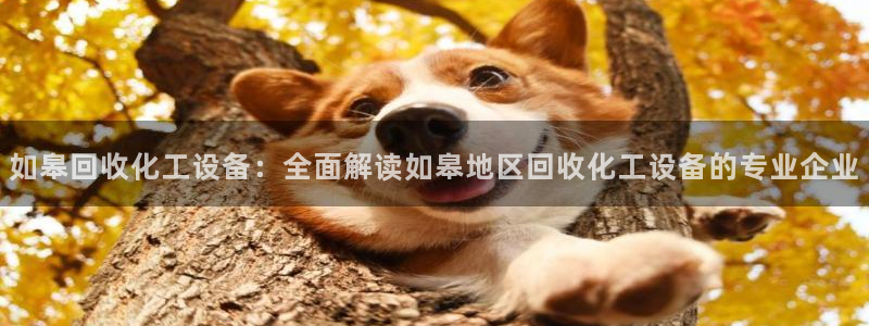 美狮贵宾会论坛