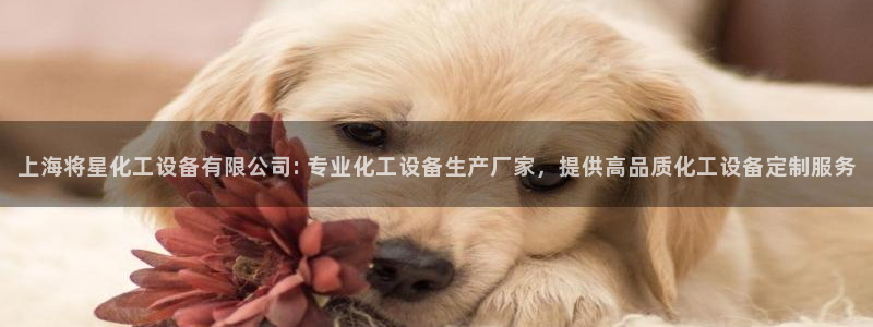 美狮会怎么赚钱