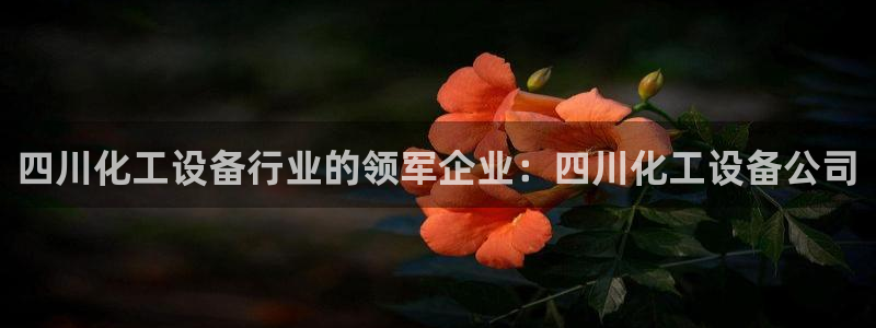 美狮贵宾会快充值中心