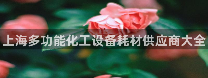 美狮贵宾会网址是什么
