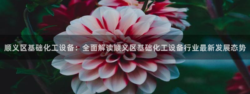 美狮贵宾会bbgames